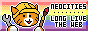 rainbow flag background with the Neocities cat logo and the text: Neocities: long live the web